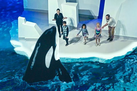 Small-Group Phillip Island Day Trip From Melbourne With Penguin Plus Viewing - Darwin Holiday 10