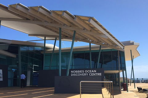 Small-Group Phillip Island Day Trip From Melbourne With Penguin Plus Viewing - Darwin Holiday 11