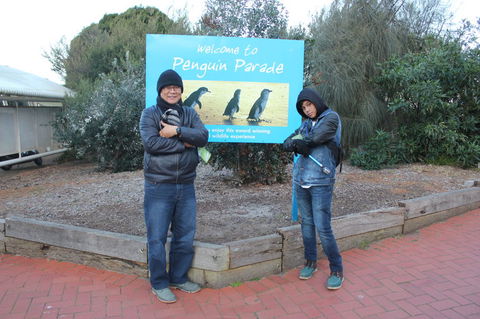 Phillip Island Tour From Melbourne - Darwin Holiday 15