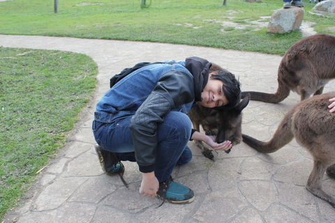 Phillip Island Tour From Melbourne - Darwin Holiday 13