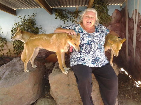 Phillip Island Tour From Melbourne - Darwin Holiday 9