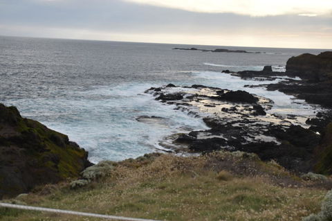 Phillip Island Tour From Melbourne - Darwin Holiday 5