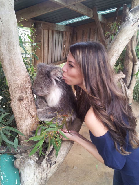 Phillip Island Tour From Melbourne - Darwin Holiday 25