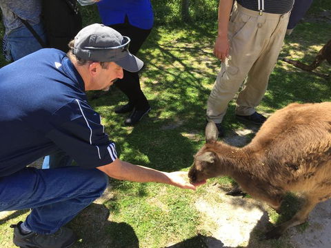 Phillip Island Tour From Melbourne - Darwin Holiday 8