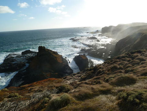 Phillip Island Penguin Parade Evening Tour - Darwin Holiday 2