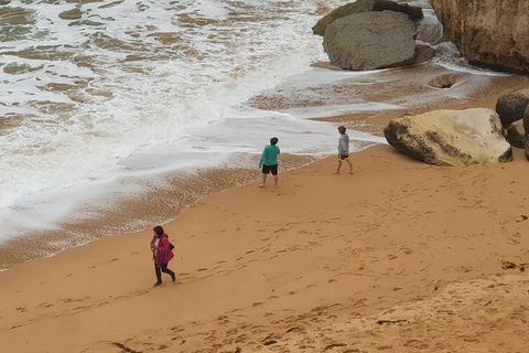 12 Apostles And Otway Fly Zipline Day Trip From Melbourne - Darwin Holiday 14