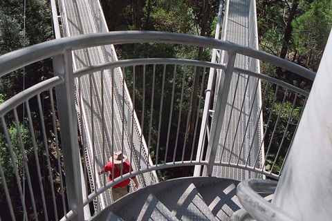 12 Apostles And Otway Fly Zipline Day Trip From Melbourne - Darwin Holiday 4