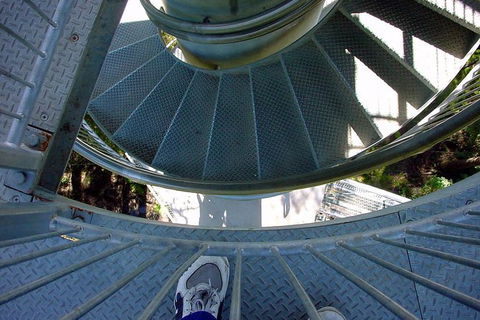 12 Apostles And Otway Fly Zipline Day Trip From Melbourne - Darwin Holiday 12