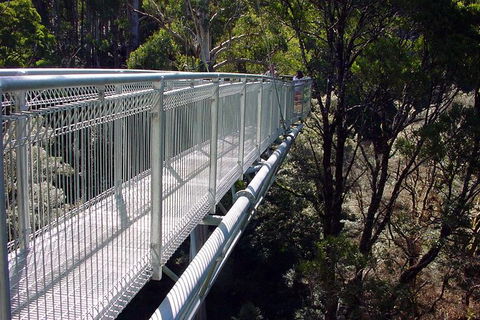 12 Apostles And Otway Fly Zipline Day Trip From Melbourne - Darwin Holiday 3