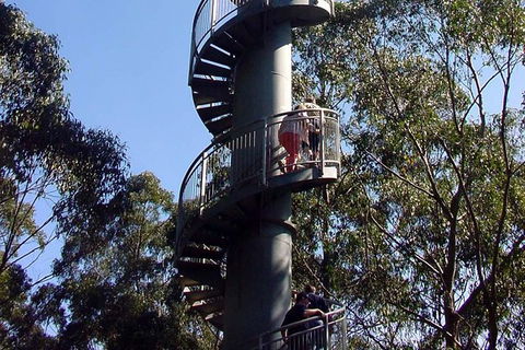 12 Apostles And Otway Fly Zipline Day Trip From Melbourne - Darwin Holiday 13