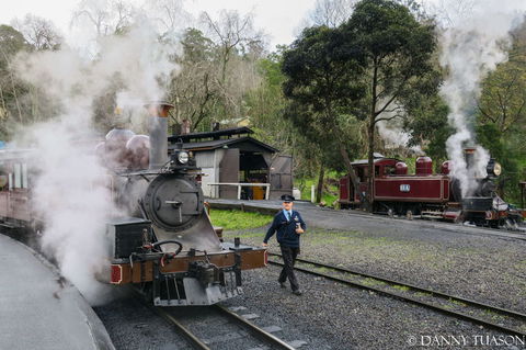 Puffing Billy Train With Optional Penguin Parade Or Melbourne City Tour - Darwin Holiday 3