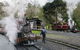 Puffing Billy Train With Optional Penguin Parade Or Melbourne City Tour - thumb 2