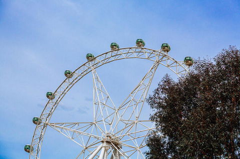 City Sightseeing Melbourne Hop-On Hop-Off Bus Tour - Darwin Holiday 8