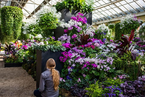 City Sightseeing Melbourne Hop-On Hop-Off Bus Tour - Darwin Holiday 2