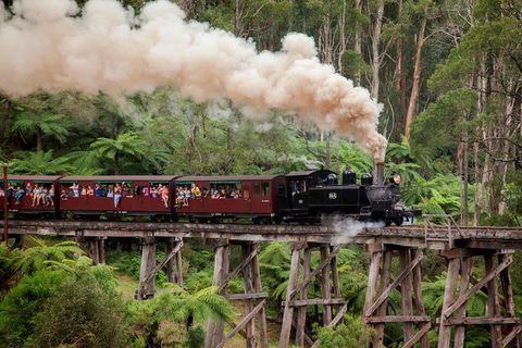 Melbourne Combo: Great Ocean Road, Puffing Billy, Moonlit Sanctuary & Penguins - Darwin Holiday 2