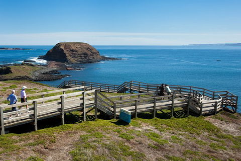 Melbourne Combo: Great Ocean Road, Puffing Billy, Moonlit Sanctuary & Penguins - Darwin Holiday 3