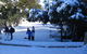 Mt. Buller Ski Tour From Melbourne - thumb 18
