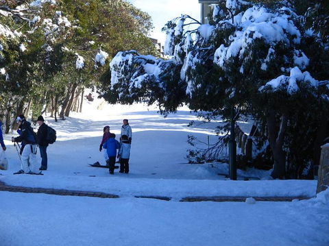 Mt. Buller Ski Tour From Melbourne - Darwin Holiday 18