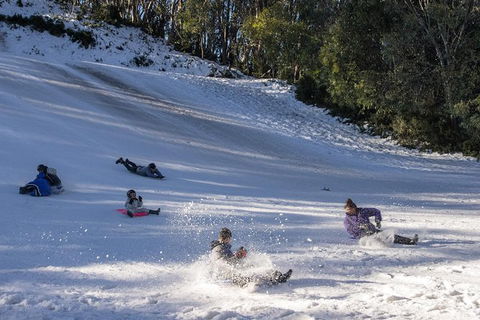 Mt. Buller Ski Tour From Melbourne - Darwin Holiday 1