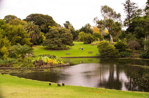 Melbourne Highlights With Brighton Beach And St Kilda Tour - Darwin Holiday 1