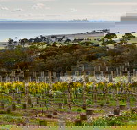 Bellarine Peninsula Small Group Wine Tour with 2 Course Lunch and Morning Tea - Darwin Holiday