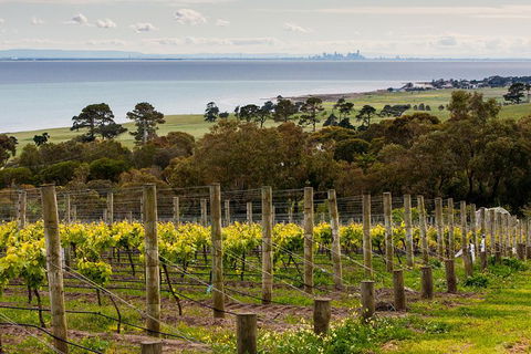 Bellarine Peninsula Small Group Wine Tour With 2 Course Lunch And Morning Tea - Darwin Holiday 2