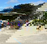 Full-Day Great Ocean Road Tour from Melbourne - Darwin Holiday