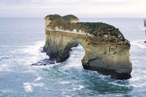 Full-Day Great Ocean Road Tour From Melbourne - Darwin Holiday 4