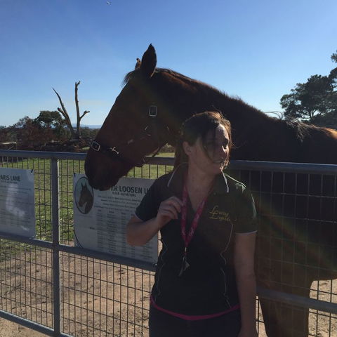 Champion Racehorse Tour With Beer And Wine Tasting - Darwin Holiday 4
