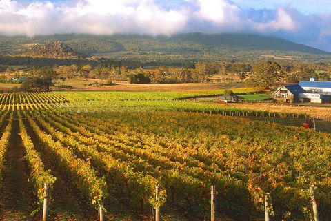 Champion Racehorse Tour With Beer And Wine Tasting - Darwin Holiday 6