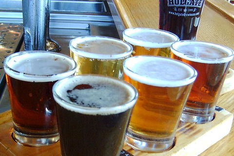 Champion Racehorse Tour With Beer And Wine Tasting - Darwin Holiday 11