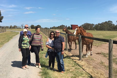 Champion Racehorse Tour With Beer And Wine Tasting - Darwin Holiday 10