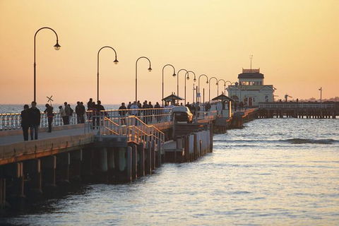 Small Group Melbourne Shore Excursion - Darwin Holiday 2