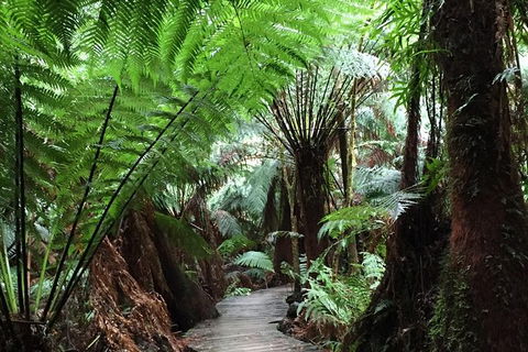 2-Day Great Ocean Road And Warrnambool Tour - Darwin Holiday 1