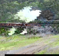 Puffing Billy Dandenong Ranges  Brighton Bathing Boxes  Experience - Darwin Holiday