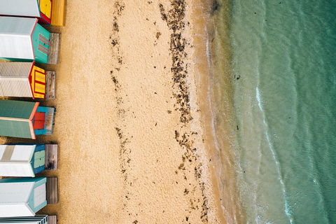 Puffing Billy (Dandenong Ranges & Brighton Bathing Boxes ) Experience - Darwin Holiday 1