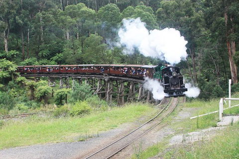 Puffing Billy (Dandenong Ranges & Brighton Bathing Boxes ) Experience - Darwin Holiday 2