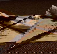 TRAPT Melbourne Alchemy II - The Final Run - Darwin Holiday