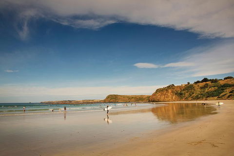 Private Phillip Island Penguin Parade Tour - Darwin Holiday 4