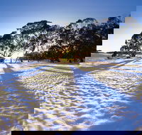 Private Lake Mountain Snow Tour from Melbourne - Darwin Holiday