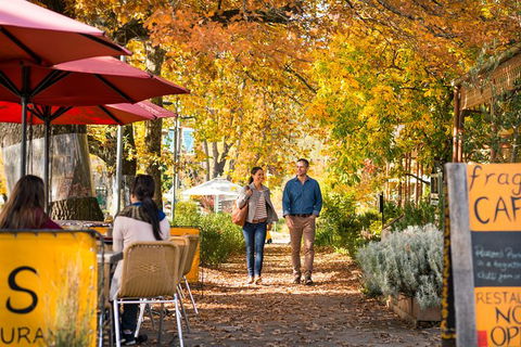 Private Lake Mountain Snow Tour From Melbourne - Darwin Holiday 4