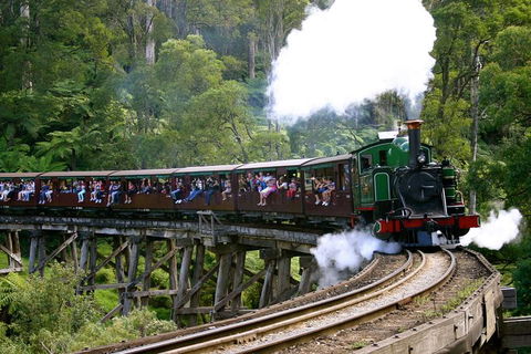 Private Dandenong Ranges Tour Including Puffing Billy - Darwin Holiday 0