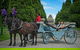 Melbourne Horse Drawn Carriage Extended Garden Tourâ„¢ - thumb 0