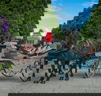 Melbourne Horse Drawn Carriage Extended Garden Tour - Darwin Holiday