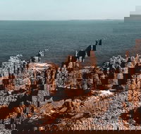 Small Group - Phillip Island Hike  Penguin Parade Day Tour from Melbourne - Darwin Holiday