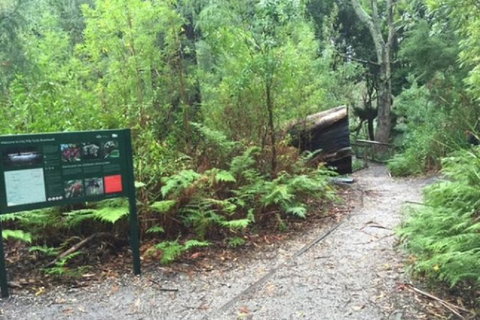 Wilsons Promontory Walking And Sightseeing Tour From Phillip Island - Darwin Holiday 1