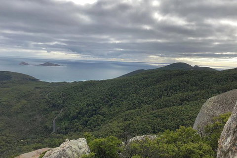 Wilsons Promontory Walking And Sightseeing Tour From Phillip Island - Darwin Holiday 5