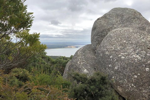Wilsons Promontory Walking And Sightseeing Tour From Phillip Island - Darwin Holiday 15