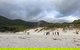 Wilsons Promontory Walking And Sightseeing Tour From Phillip Island - thumb 4
