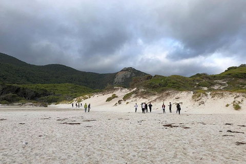 Wilsons Promontory Walking And Sightseeing Tour From Phillip Island - Darwin Holiday 4